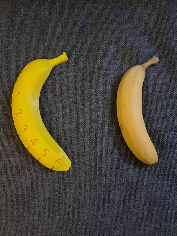 Banana For Scale